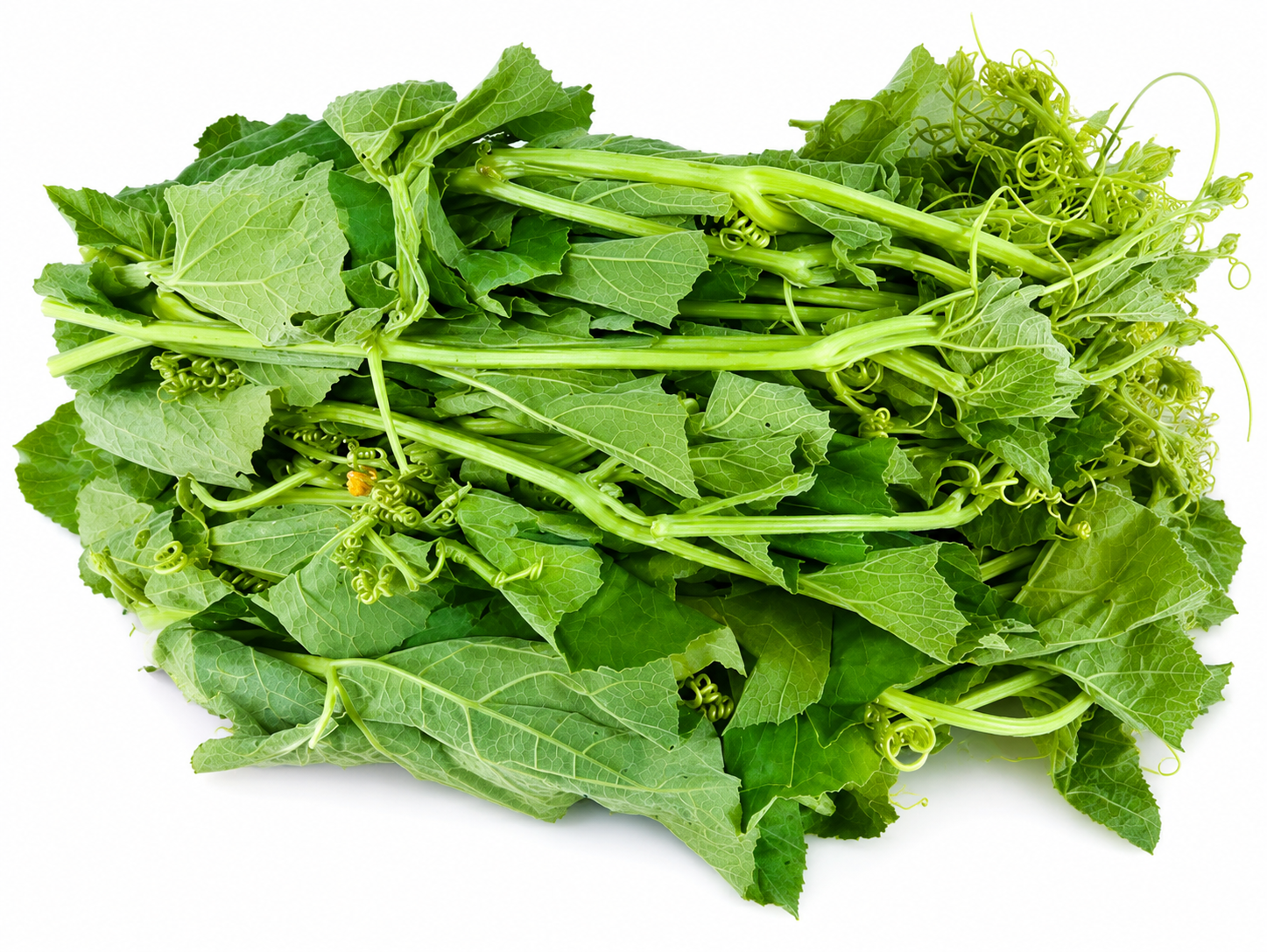 Pahari Lau Shak